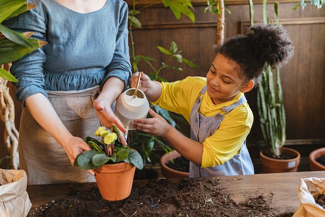 watering-flower watering-flower